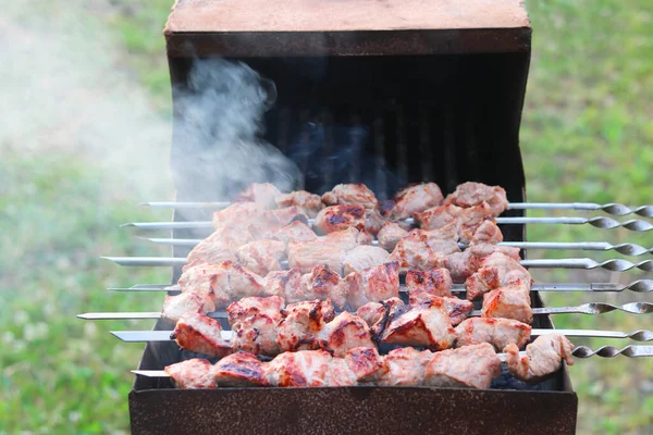 Vaření Masa Špejli Grilu Pikniku — Stock fotografie