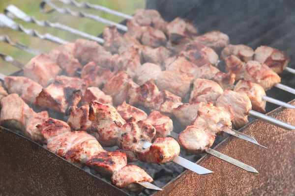 Μαγείρεμα Κρέατος Σουβλάκια Στο Μπάρμπεκιου Στο Πικνίκ — Φωτογραφία Αρχείου