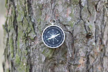 Pusula ile turizmin sembolü olarak doğal ahşap arka planda yuvarlak pusula, pusula ile seyahat ve pusula ile açık hava aktiviteleri