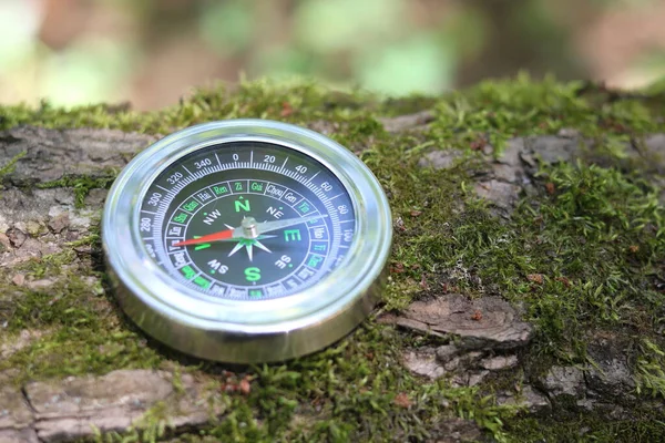 Compass Natural Wooden Background Symbol Tourism Compass Travel Compass Outdoor — Stock Photo, Image