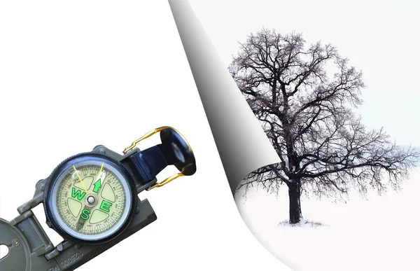 Foto Abstrata Com Árvore Solitária Fundo Paisagem Inverno Com Bússola — Fotografia de Stock