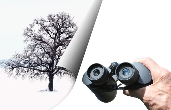 Abstract Photo Tree Classic Travel Binoculars Hand Symbol Tourism Binoculars — Stock Photo, Image