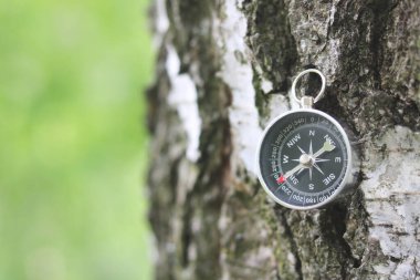 Pusula ile turizmin sembolü olarak huş ağacının arka planına karşı pusula, pusula ve pusula ile seyahat
