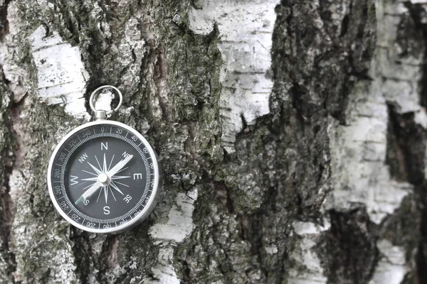 Okrągły Kompas Tle Kory Brzozy Jako Symbol Turystyki Kompasem Podróży — Zdjęcie stockowe