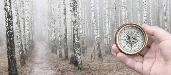 round compass in hand on autumn birch forest background as symbol of tourism with compass, travel with compass and outdoor activities with compass in autumn