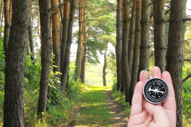 Pusulalı turizm sembolü olarak çam ormanlarının arka planında el ele pusula, pusula ile seyahat ve pusula ile açık hava aktiviteleri