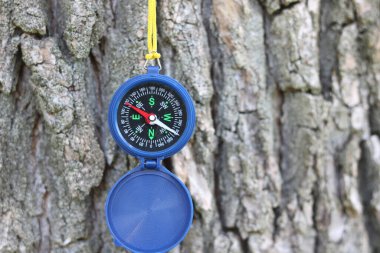 Ağaç kabuğunun arka planında yuvarlak pusula