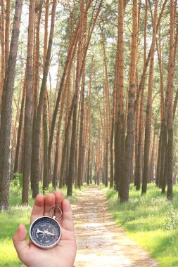 Pusulalı turizm sembolü olarak çam ormanlarının arka planında el ele pusula, pusula ile seyahat ve pusula ile açık hava aktiviteleri