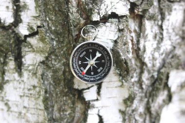 Pusula ile turizmin sembolü olarak huş ağacının arka planındaki pusula, pusula ve pusula ile seyahat ve açık hava aktiviteleri