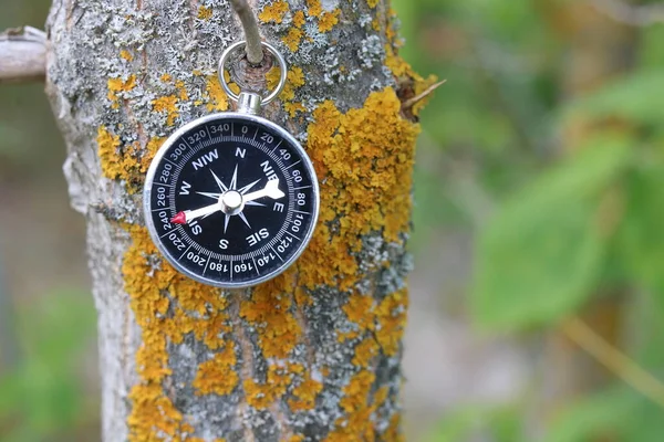 Boussole Ronde Sur Mousse Sur Tronc Arbre Comme Symbole Tourisme — Photo