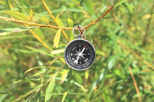 Kruhový Kompas Větvi Stromu Jako Symbol Cestovního Ruchu Kompasem Cestování — Stock fotografie
