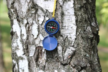 Pusula ile turizmin sembolü olarak huş ağacının arka planındaki pusula, pusula ve pusula ile seyahat ve açık hava aktiviteleri