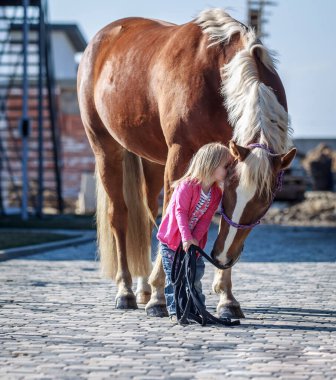 Küçük bir kız ve büyük güzel bir atın şefkatli ilişkisi.