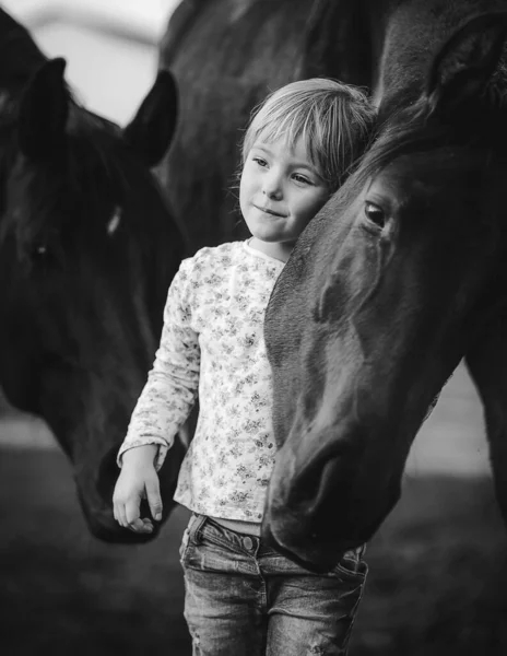 Czuły Związek Małej Dziewczynki Dużego Pięknego Konia — Zdjęcie stockowe
