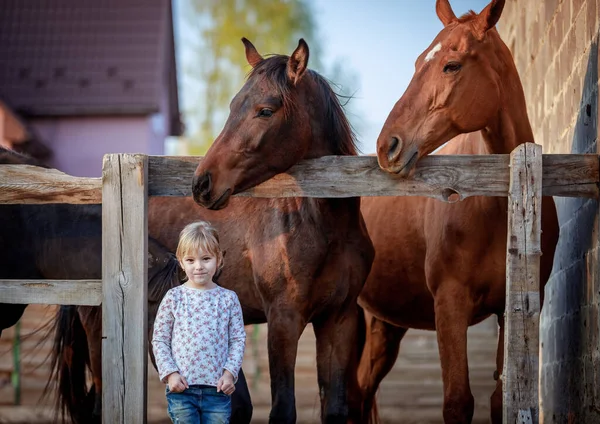 Tender relationship of a little girl and a big beautiful horse