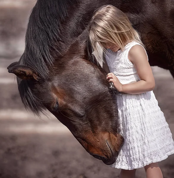 小さな女の子と大きな美しい馬の公平な関係 — ストック写真