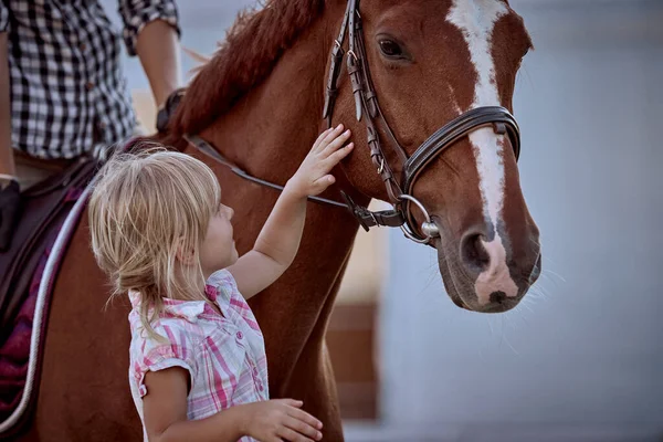 Mooi Klein Blond Meisje Met Een Groot Rood Paard — Stockfoto