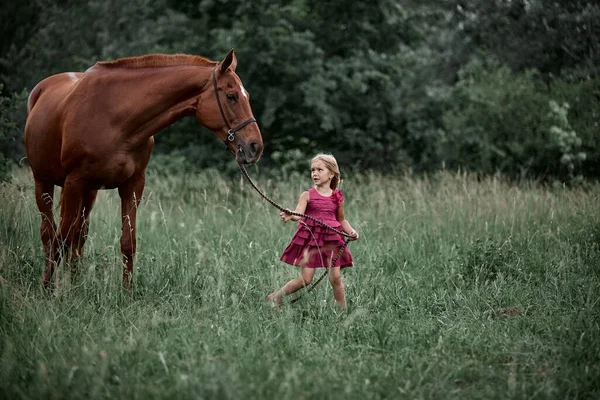 美しい小さなブロンドの女の子でドレス大きな赤い馬の横にある — ストック写真