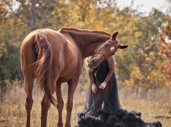 Κόκκινο Άλογο Κατά Διάρκεια Μιας Φωτογράφησης Ένα Κορίτσι — Φωτογραφία Αρχείου