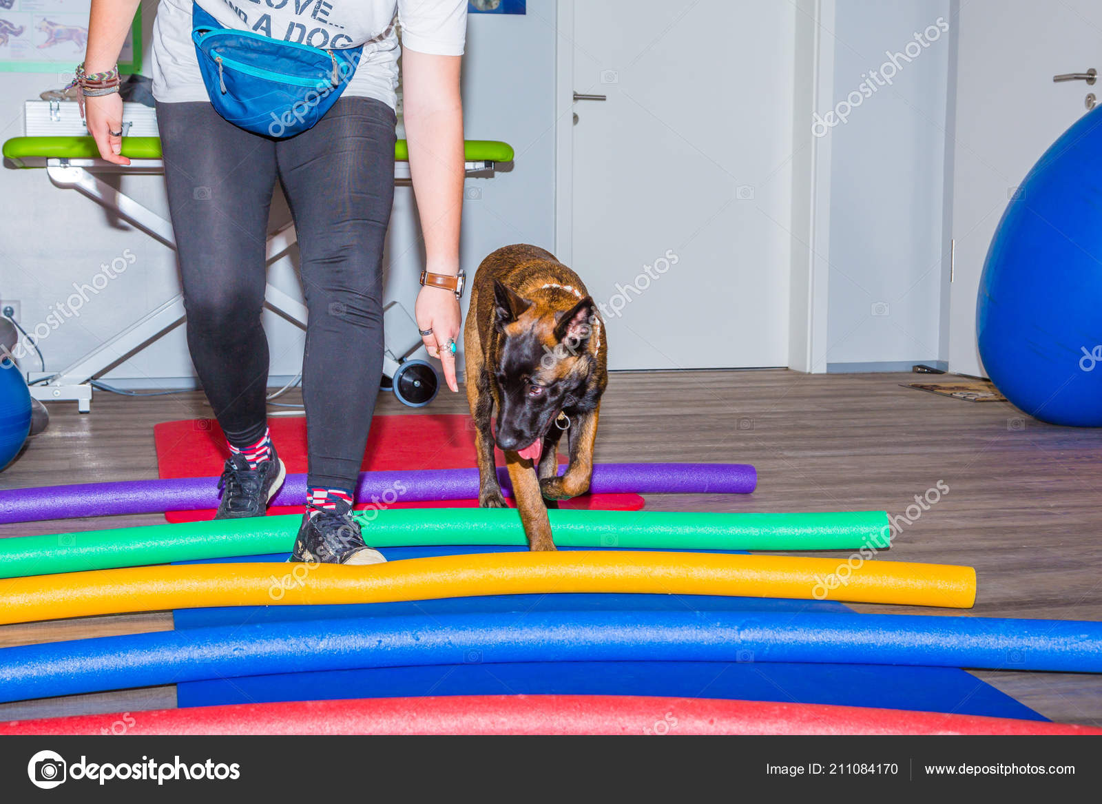 How Much Does Physical Therapy For A Dog Cost