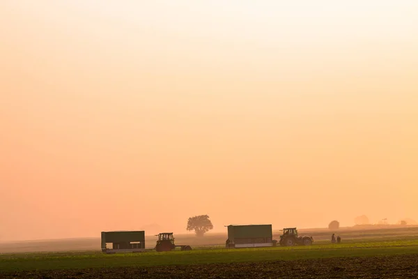 Agricoltura Una Nebbiosa Mattinata Autunnale Con Trattori Alberi — Foto Stock