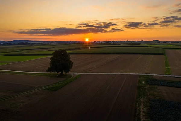 Velden met kleurrijke zonsondergang 's avonds — Stockfoto