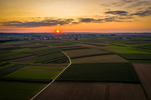 Campi di mais dall'alto al tramonto — Foto Stock