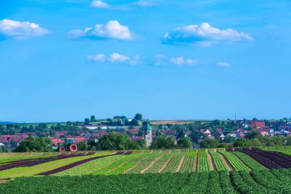 rural village in Germany with salat field in front of church tower