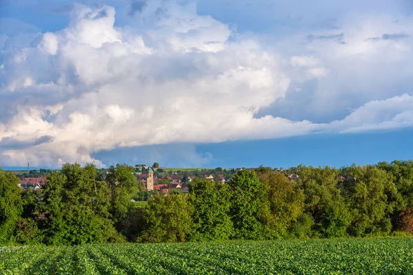 rural village in Germany with salat field in front of church tower