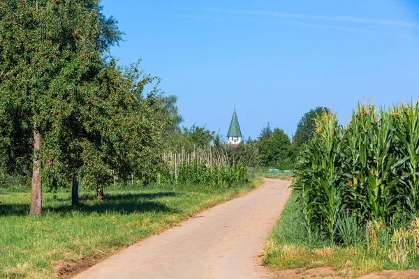 rural view to the church tower of Filderstadt with fields