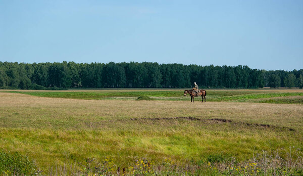 Луга, поля и леса центральной России. Южная Тюменская область. Всадник на лошади
.