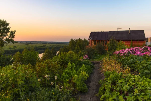 Prachtig Uitzicht Zonsondergang Rivier Met Bomen Velden Bloemen — Stockfoto