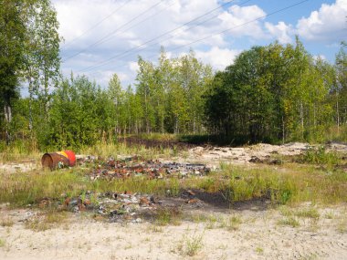 Ormanda yasadışı çöplük.