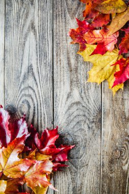 ahşap arka plan üzerinde kırmızı sarı sonbahar yaprakları