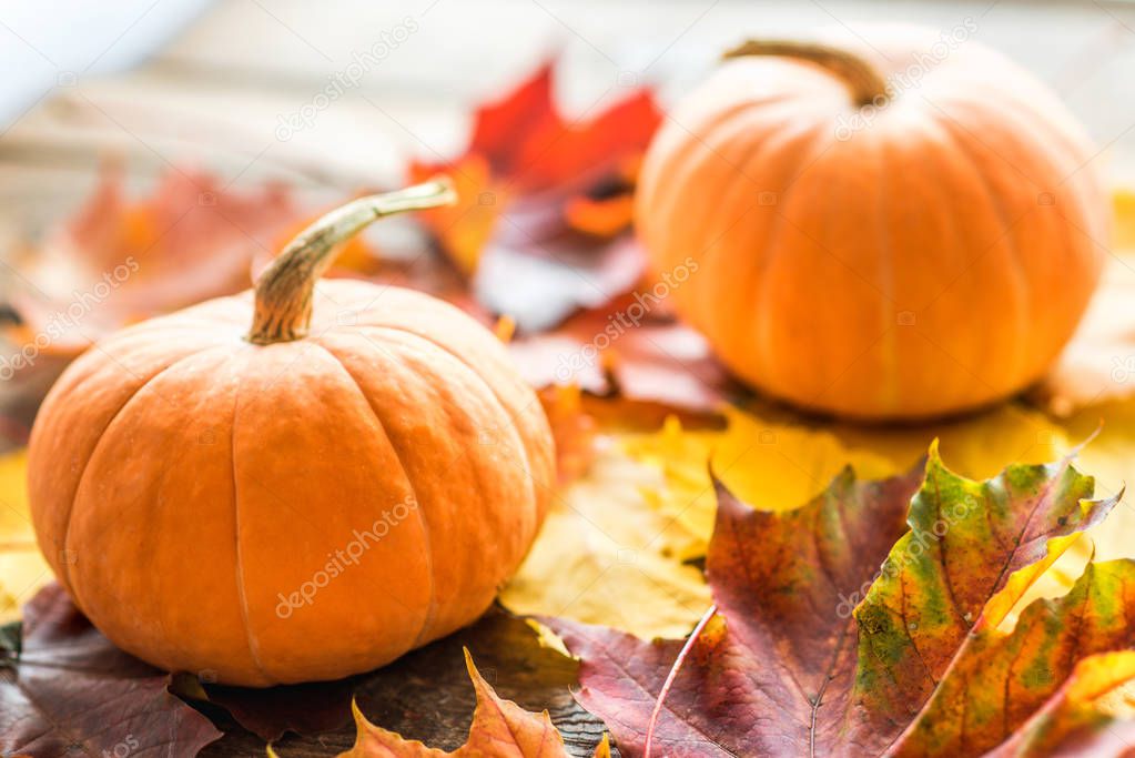 orange pumpkins with autumn maple leaves on wooden background