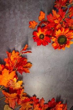 koyu arkaplanda turuncu yapraklar