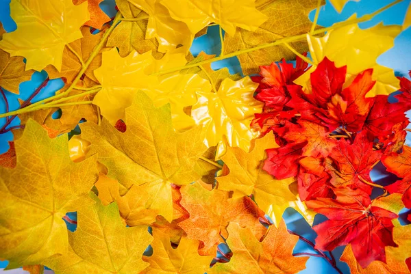 Hojas de otoño de color sobre un fondo azul — Foto de Stock