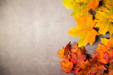 açık beton arkaplanda turuncu ve sarı yapraklar