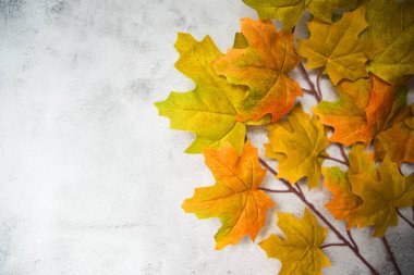 beton üzerindeki kırmızı yaprakların arkaplanı