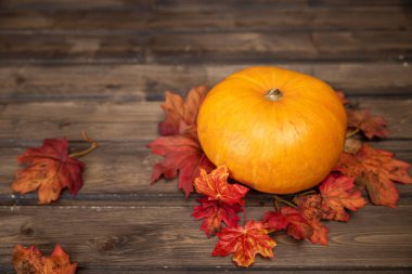 turuncu sonbahar yapraklı portakal kabağı