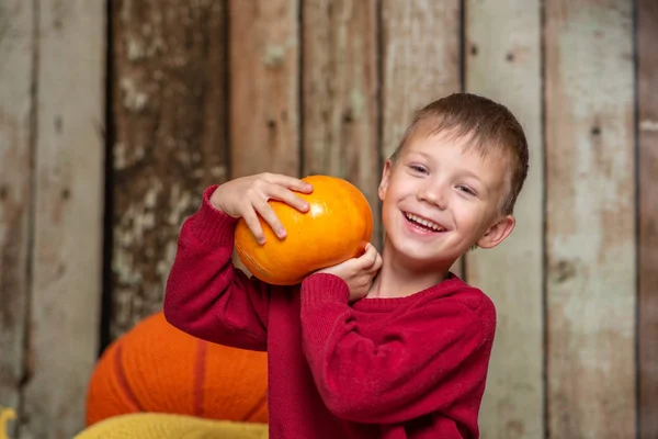Un garçon en pull rouge avec une citrouille orange — Photo