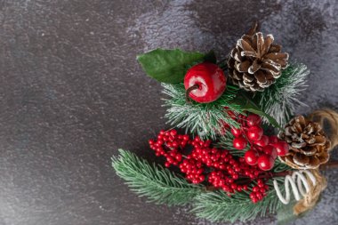 Koyu arkaplanlı böğürtlenli Noel ağacı dalı