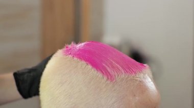 Kuaför kadınların saçlarını pembeye boyar. Salgın sırasında ev salonu. LGBT