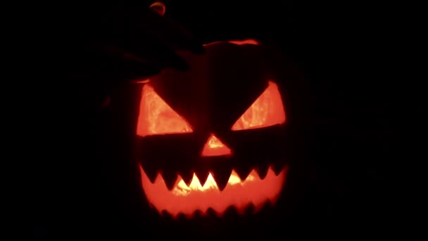 Mujer joven jugando con una calabaza vacaciones de Halloween Fondo negro aislado. — Vídeos de Stock