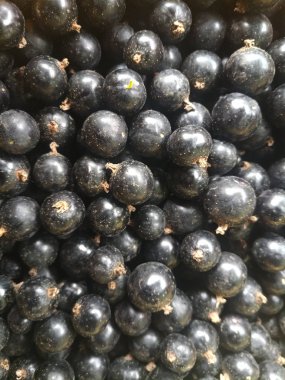 güzel siyah frenk üzümü çilek