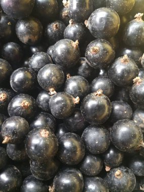 güzel siyah frenk üzümü çilek