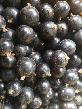 güzel siyah frenk üzümü çilek