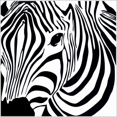 siyah ve beyaz zebra çizgi çizme