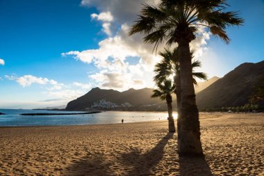 Playa de las Teresitas Beach, Tenerife