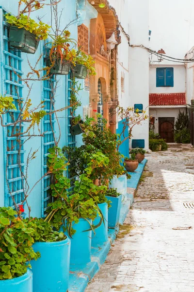 Mavi ve beyaz Marocco eski şehir Rabat'ta kasbah içinde küçük sokakları